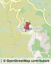 Telefonia - Impianti Telefonici Isola del Giglio,58012Grosseto