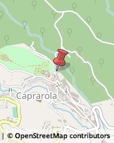 Trasporti Caprarola,01032Viterbo