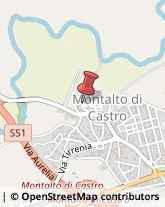 Numismatica Montalto di Castro,01014Viterbo