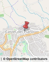 Caldaie a Gas Castel del Piano,58033Grosseto