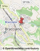Autotrasporti Bracciano,00062Roma
