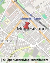 Licei - Scuole Private Montesilvano,65015Pescara