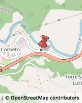 Legname da Costruzione,63095Ascoli Piceno