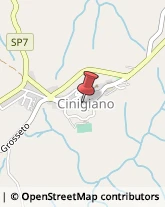 Farmacie Cinigiano,58044Grosseto