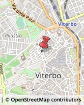 Articoli per Ortopedia Viterbo,01100Viterbo