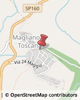 Agenzie Immobiliari Magliano in Toscana,58051Grosseto