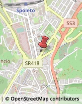 Pelletterie - Dettaglio Spoleto,06049Perugia