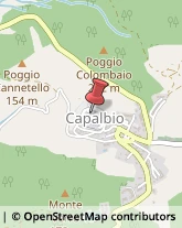 Agrumi Capalbio,58011Grosseto