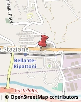 Bulbi e Sementi Bellante,64020Teramo