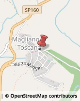 Associazioni di Volontariato e di Solidarietà Magliano in Toscana,58051Grosseto