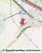 Logopedia Orvieto,05018Terni