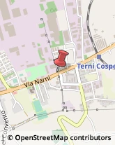 Recupero Crediti Terni,05100Terni