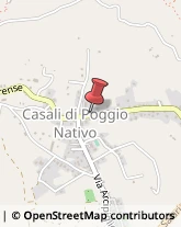 Autotrasporti Poggio Nativo,02030Rieti
