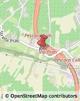 Piante e Fiori Artificiali - Ingrosso Pescara,65125Pescara