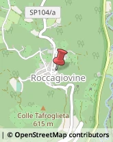 Aziende Agricole Roccagiovine,00020Roma