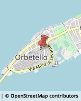 Medie - Scuole Private Orbetello,58015Grosseto