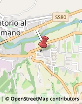 Aziende Sanitarie Locali (ASL),64046Teramo