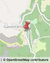 Autotrasporti Gavorrano,58023Grosseto