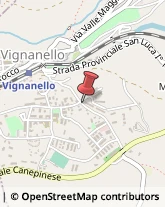 Profumerie Vignanello,01039Viterbo