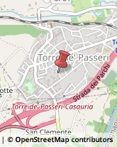 Carne - Lavorazione e Commercio Torre de' Passeri,65029Pescara