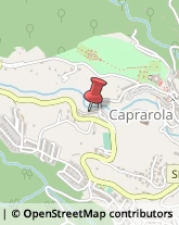 Pasticcerie - Dettaglio Caprarola,01032Viterbo