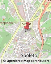 Agenzie di Animazione e Spettacolo Spoleto,06049Perugia