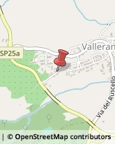 Macellerie Vallerano,01030Viterbo