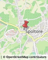 Pizzerie Spoltore,65010Pescara