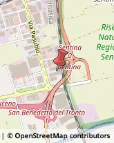 Enoteche San Benedetto del Tronto,63074Ascoli Piceno