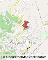 Articoli per Ortopedia Poggio Mirteto,02047Rieti