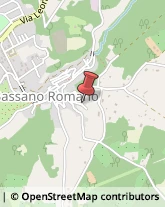 Autotrasporti Bassano Romano,01030Viterbo