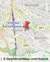 Podologia - Studi e Centri Viterbo,01100Viterbo