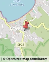 Psicologi,57030Livorno