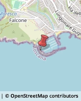 Subacquea Attrezzature,57025Livorno