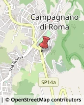 Naturopatia Campagnano di Roma,00063Roma