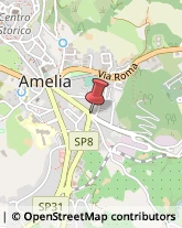 Ottica, Occhiali e Lenti a Contatto - Dettaglio Amelia,05022Terni