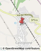 Pasticcerie - Dettaglio Castiglione in Teverina,01024Viterbo