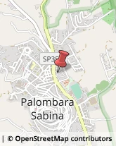 Trasporti Palombara Sabina,00018Roma