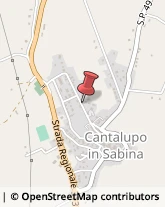 Agricoltura - Attrezzi e Forniture Cantalupo in Sabina,02040Rieti