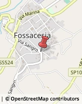 Cantine Sociali Fossacesia,66022Chieti