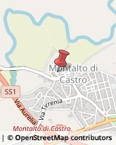 Associazioni di Volontariato e di Solidarietà Montalto di Castro,01014Viterbo