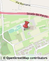 Palestre e Centri Fitness Avezzano,67051L'Aquila