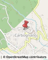 Pizzerie Carbognano,01032Viterbo