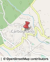 Assicurazioni Carbognano,01030Viterbo