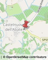 Bed e Breakfast,53024Siena