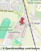 Fisiokinesiterapia - Medici Specialisti Grosseto,58100Grosseto