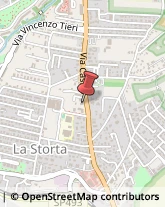 Locali, Birrerie e Pub,00123Roma