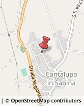 Alimenti Surgelati - Dettaglio Cantalupo in Sabina,02040Rieti