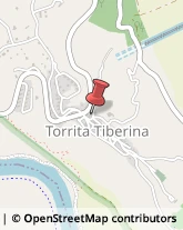 Partiti e Movimenti Politici Torrita Tiberina,00060Roma