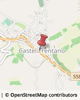 Veterinaria - Ambulatori e Laboratori Castel Frentano,66032Chieti